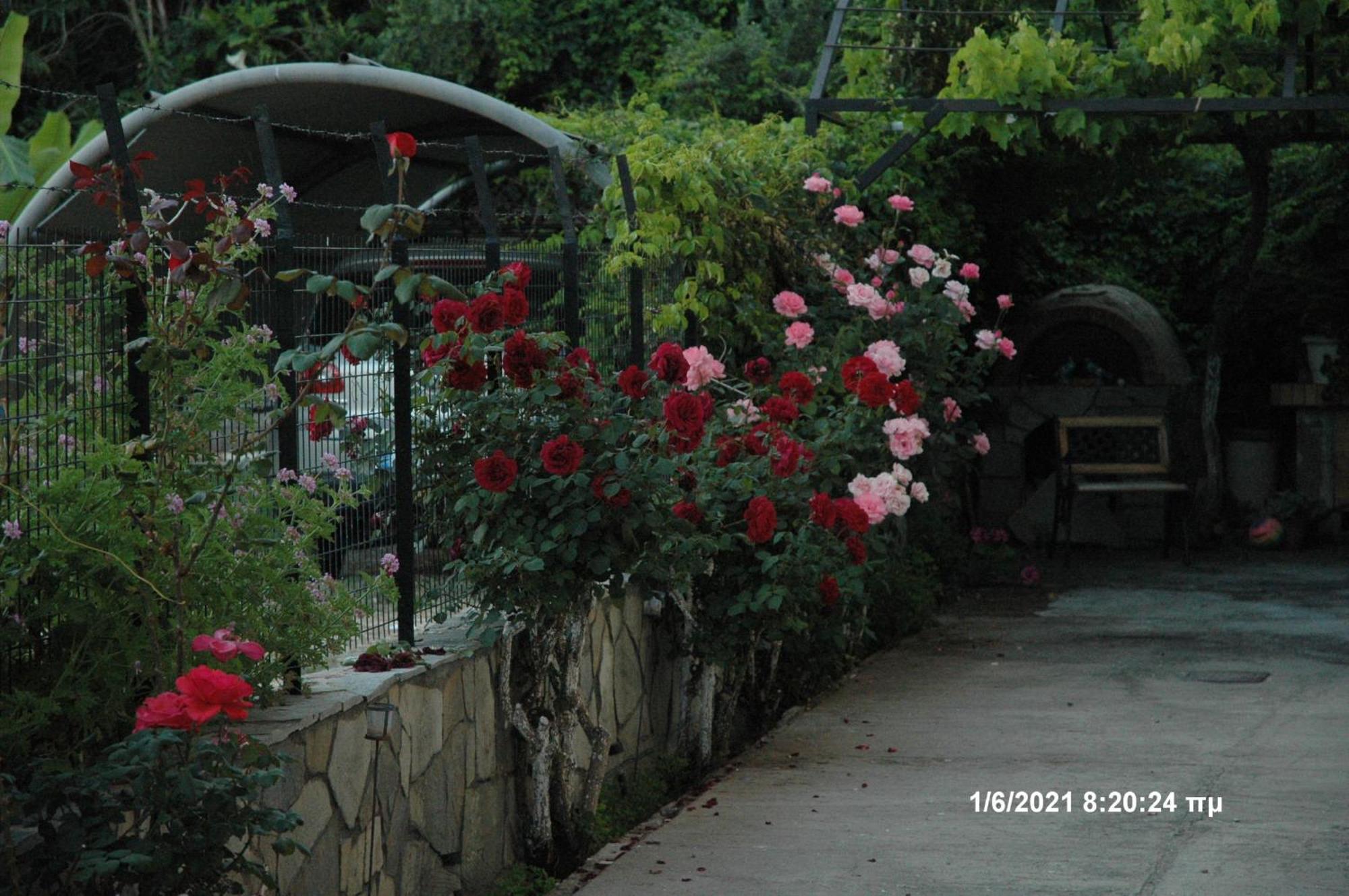 Hotel Mare - Mare B Patras Exterior foto