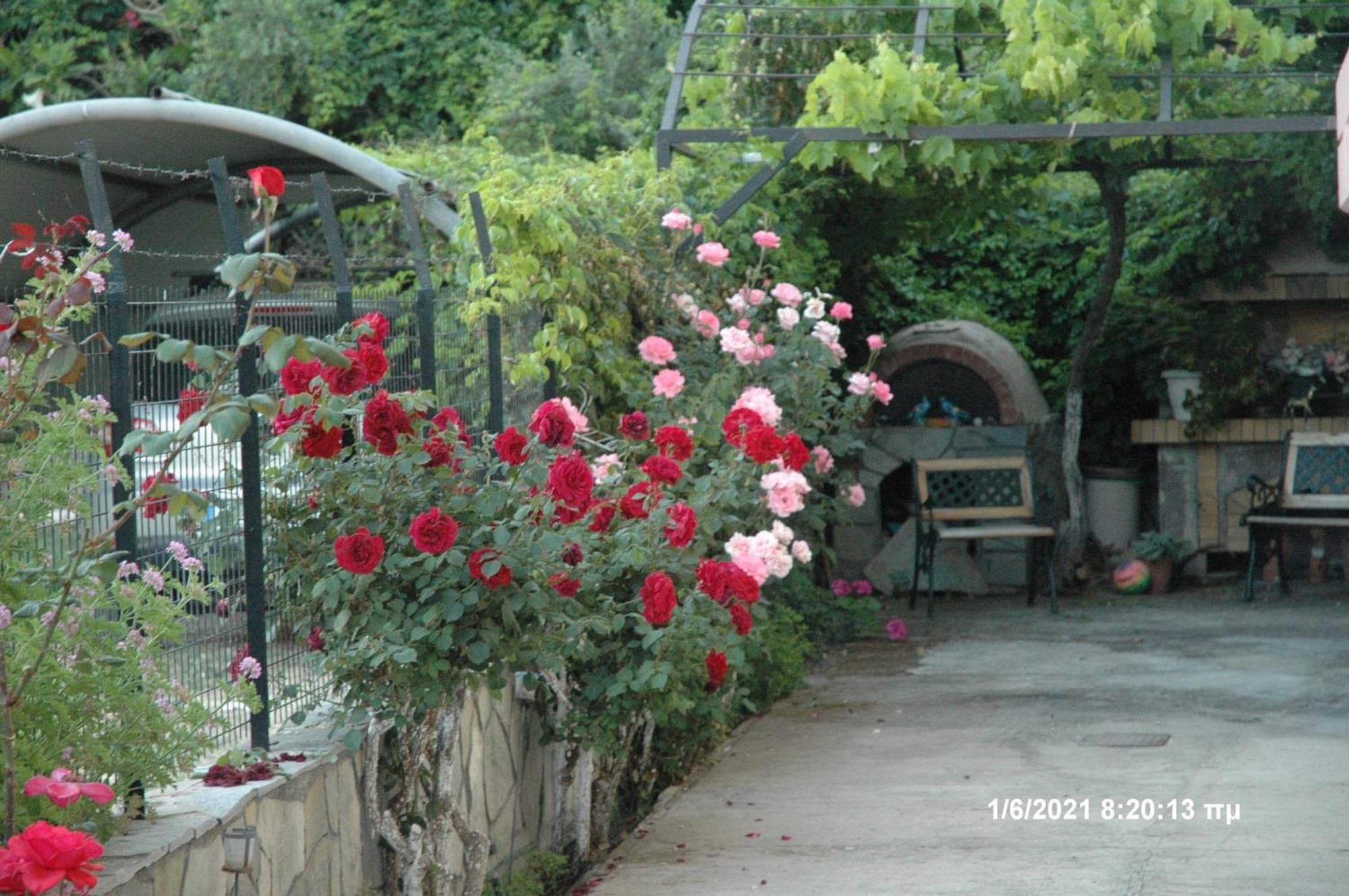 Hotel Mare - Mare B Patras Exterior foto